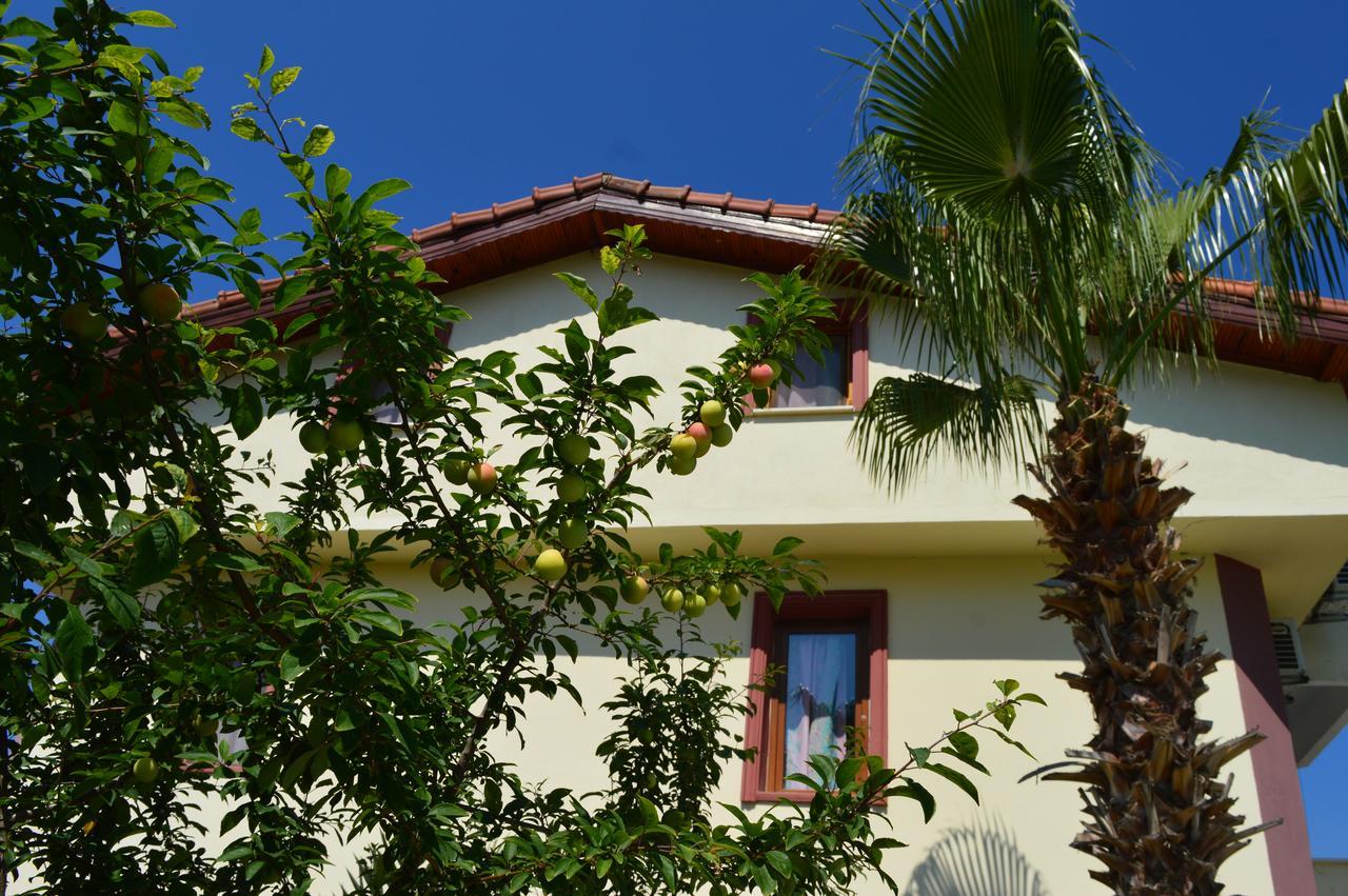 Erasmus Apart Hotel Dalyan Exteriér fotografie
